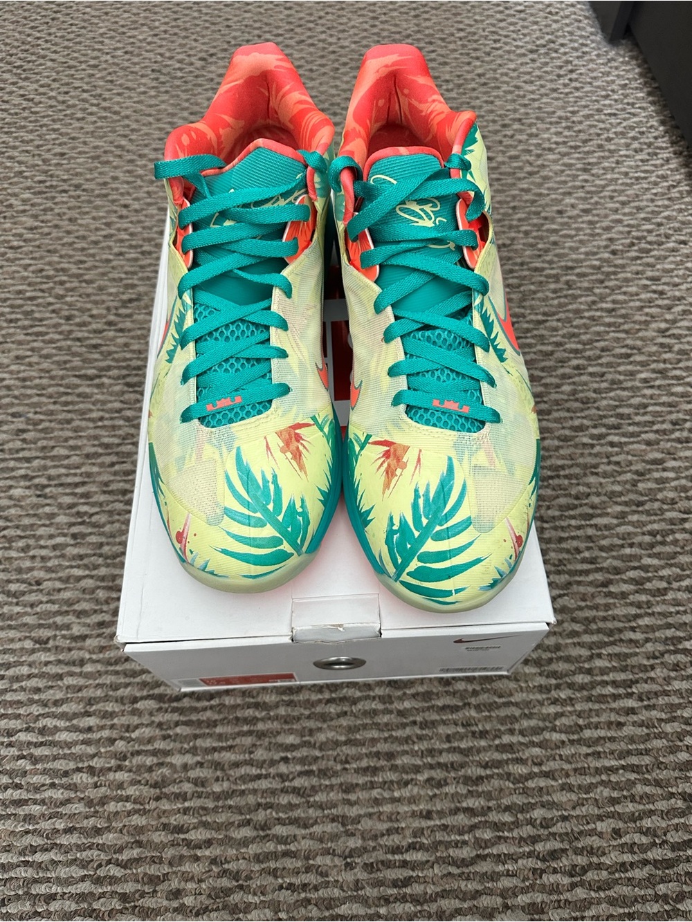 Nike LeBron 9 Low “LeBronald Palmer” Basketball Sneakers